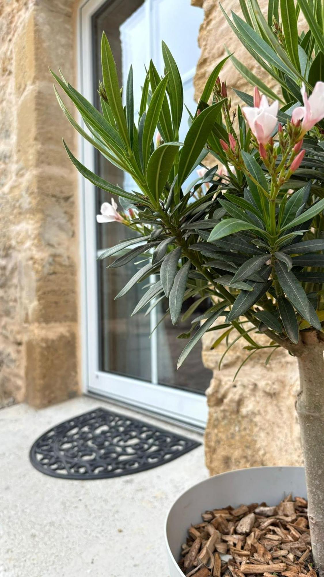 Caudrot L'Atelier Detente Et Spa מראה חיצוני תמונה
